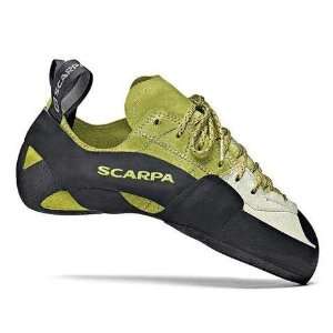  SCARPA Mago Climbing Shoes: Sports & Outdoors