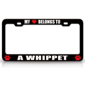 MY HEART BELONGS TO A WHIPPET Dog Pet Steel Metal Auto License Plate 