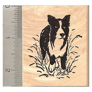  Border Collie Rubber Stamp   Wood Mounted: Arts, Crafts 