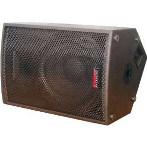   Multi Position Speaker (Pro Sound & Entertainment): Office Products