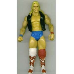   BARRY WINDHAM CLASSIC SUPERSTARS 11 WRESTLING FIGURE: Toys & Games