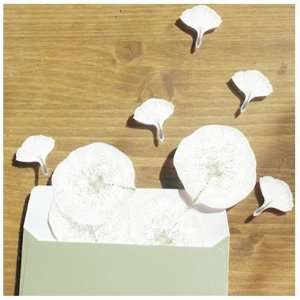  Dandelion Sticky Note: Office Products