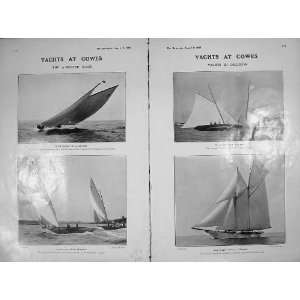  1905 Yachts Cowes 24 Footers Iveagh Schooner Cetonia: Home 