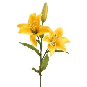  Faux 21 Day Lily Spray Yellow (Pack of 12): Beauty