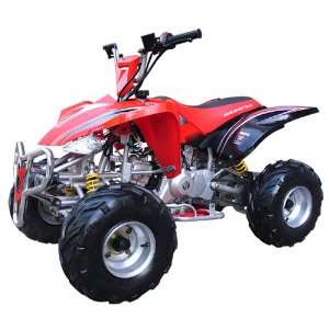  110cc Mid Size ATV With Automatic Transmission 