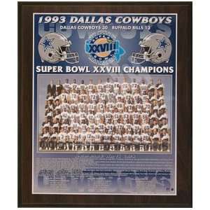  Dallas Cowboys 1993 Super Bowl Champions Healy Plaque 
