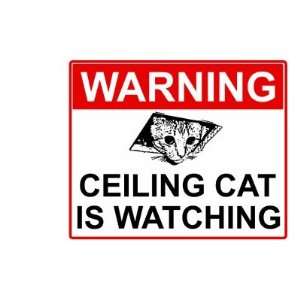  Ceiling Cat Sign Mug: Home & Kitchen