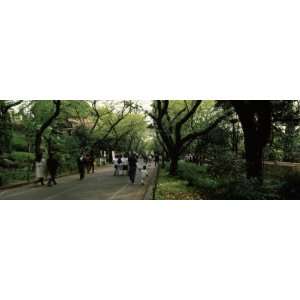 People Walking in a Park, Ueno Park, Taito, Tokyo Prefecture, Kanto 