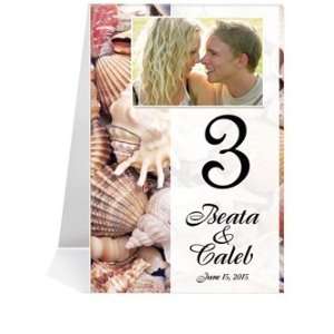  Photo Table Number Cards   Love Sea Shells & Stars #1 Thru #31 