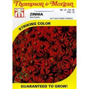  Thompson & Morgan 3417 Zinnia Red Spider Seed Packet 