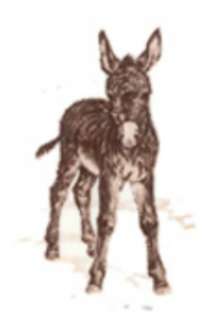 Donkey Burro Animal 7/8 Waterslide Ceramic Decals  
