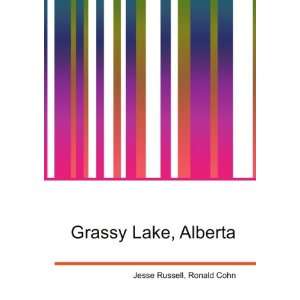  Grassy Lake, Alberta: Ronald Cohn Jesse Russell: Books