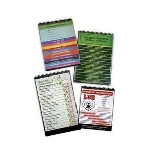  4313    12 Pocket Flip Chart: Office Products