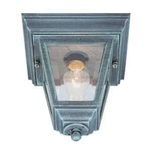  Trans Globe 4903 VG Outdoor Close to Ceiling Light