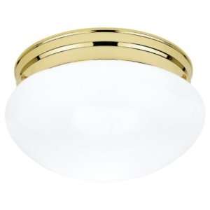  Sea Gull 5326 02 Ceiling Light