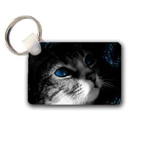  Blue eyed kitten Keychain Key Chain Great Unique Gift Idea 