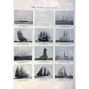   The Ocean Cup Race 1905 Antique Print Yachts Sailing