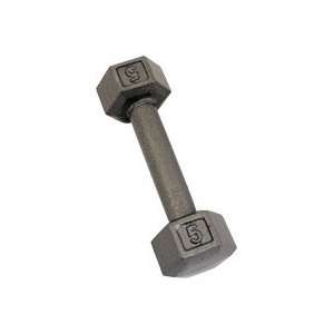  5lb Hex Metal Dumbbell Finished in Gray Enamel for Better 