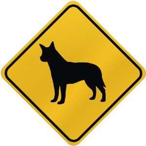    ONLY  AUSTRALIAN CATTLE DOG  CROSSING SIGN DOG