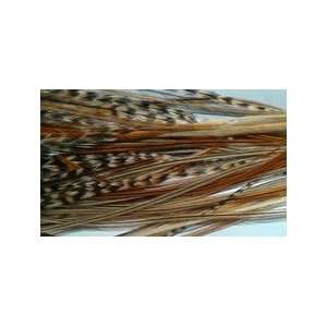  Natural Feather Hair Extensions Fall Colors   6 Feathers Beauty