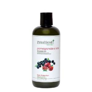  Pomegranate & Acai Shampoo   16oz Beauty