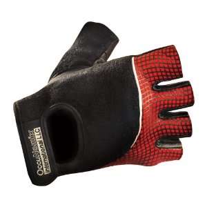   and Impact Protection Gloves/Pair XL Spider