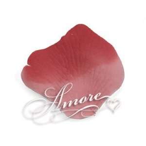    4000 Silk Rose Petals Rio Red pink and Red: Everything Else
