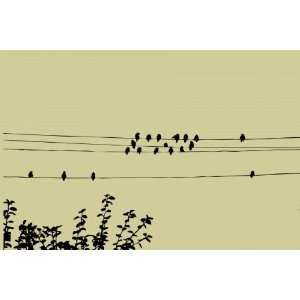  Vinyl Wall Decals   Birds on a Wire