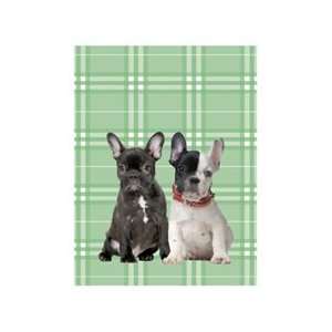    French Bulldogs Boxed Blank Notecards