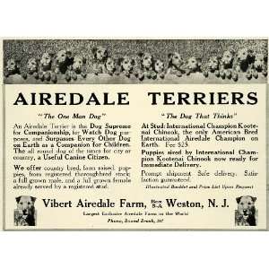  1922 Ad Vibert Farm Airedale Terrier Dog Puppies Breeders 