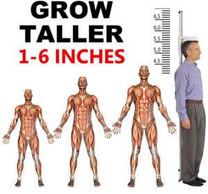 Gain Height Now, Grow Taller GROW TALL 16 Week Course  