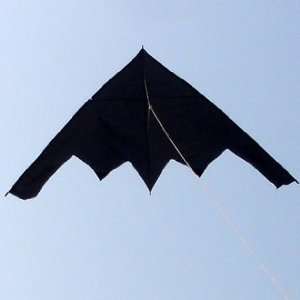  genuine weifang kite black kite stealth aircraft good 