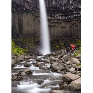com Svartifoss (Black Falls) Waterfall, Southern Vatnajokull, Iceland 