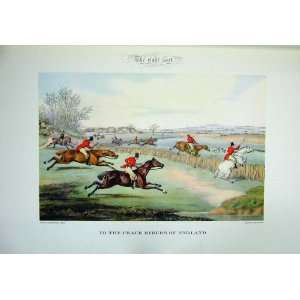  1955 Horse Hunting England Men Hounds Dogs Colour