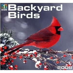  Backyard Birds 2008 Wall Calendar