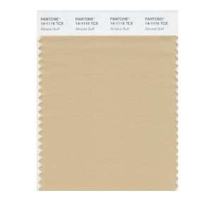   SMART 14 1116X Color Swatch Card, Almond Buff: Home Improvement