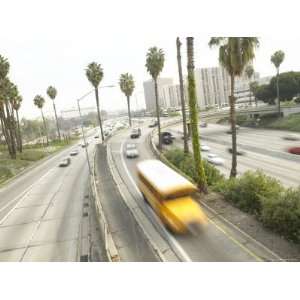 Beautiful Palm Trees Lining Highway with Cars and Bus Photographic 