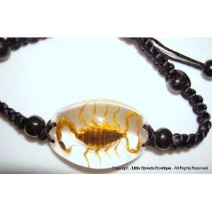  Real Nature Scorpion Bracelet 