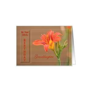   Granddaughter ~ Age Specific 28th ~ Orange Day Lily Card Toys & Games