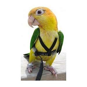  ESCAPE PROOF pet bird harness   Size Large   Color Pink Pet
