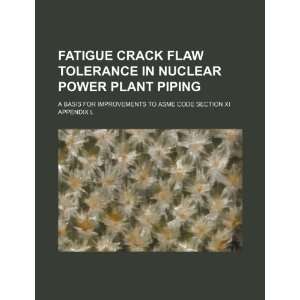  Fatigue crack flaw tolerance in nuclear power plant piping 