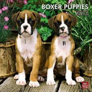  Boxer Puppies 2012 Wall Calendar 12 X 12 Office 