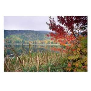  Autumn Scenic, Acadia National Park, Maine Photographic 