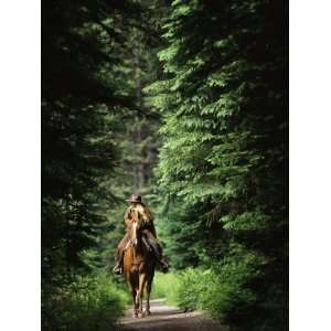  Horseback Riding on an Emerald Lake Lodge Bridle Trail 