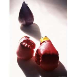  Pair of Boxing Gloves Giclee Poster Print