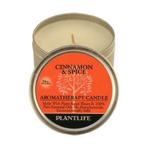 Cinnamon Spice 100% Essential Oil Aromatherapy Candle  24 hr. burn 