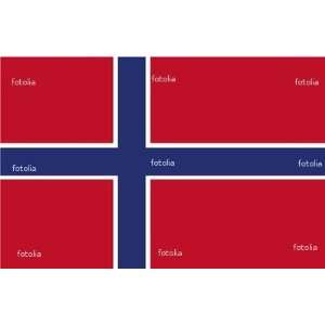  12 in. x 18 in. Flags   Norway: Patio, Lawn & Garden