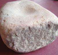 AMERICAN INDIAN NUTTING STONE from ARKANSAS 7228  