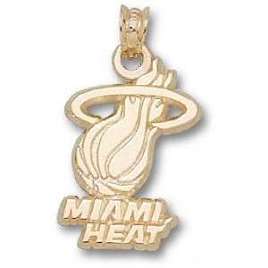  Miami Heat Solid 14K Gold Logo 3/8 Pendant: Sports 