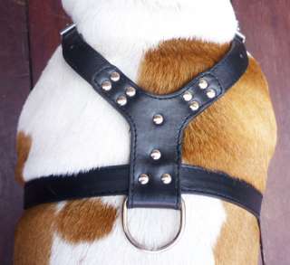 Studs Leather Dog Harness Rottweiler Amstaff 25 33  